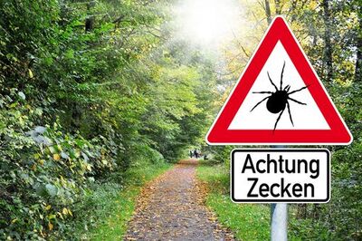 Zecken-Warnschild an einem Waldweg